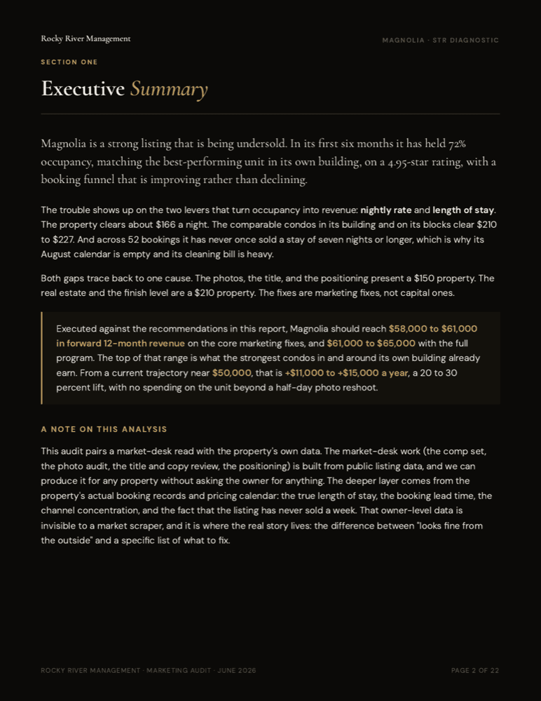 Executive summary page from the Magnolia diagnostic